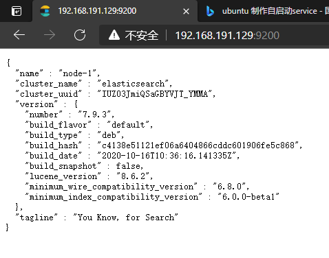 访问ElasticSearch