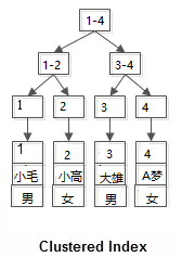 深入解析MySQL中的回表查询与索引覆盖技术